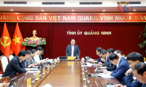 Phải tạo đột phá trong xây dựng thí điểm cơ chế, chính sách phát triển đặc khu kinh tế Vân Đồn
