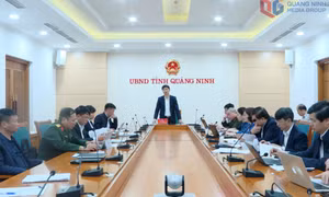 UBND tỉnh nghe báo cáo thực hiện nhiệm vụ xây dựng NTM và giảm nghèo bền vững đến năm 2030