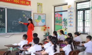 Thời hạn, định hướng sắp xếp các đơn vị sự nghiệp, trường học