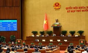 Chậm nhất đến 1/7/2027: Hoàn thành bố trí vị trí việc làm và xếp lương tương ứng cho viên chức