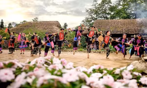 3 điểm đến du xuân ở miền Bắc dịp Tết Bính Ngọ