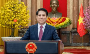Thư chúc Tết Bính Ngọ 2026 của Chủ tịch nước Lương Cường