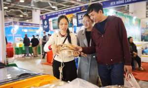Sôi động Hội chợ OCOP Quảng Ninh – Xuân 2026
