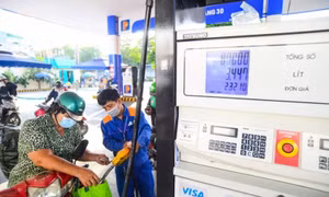Hơn 20 thương nhân kinh doanh xăng dầu dừng hoạt động trong năm 2025