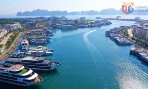 Phường Tuần Châu - Định hình diện mạo đô thị biển