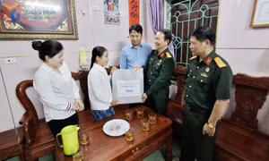 Cựu chiến binh tỉnh: Vững bước trong thời kỳ mới