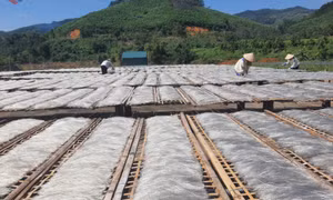 Phát huy thế mạnh sản phẩm nông nghiệp