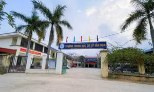 Đình chỉ nữ giáo viên tác động vào mặt học sinh ngay trên bục giảng