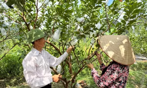 Niềm tin mới, thắng lợi mới
