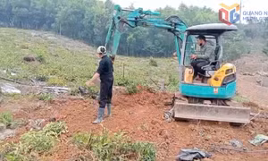 Làm giàu từ rừng