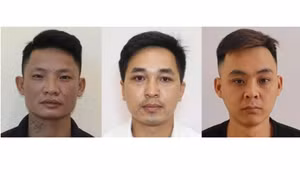 Triệt phá đường dây mua bán lá gan 1,5 tỉ, quả thận 950 triệu đồng