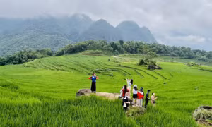 Thúc đẩy du lịch bền vững qua dự án Điểm đến tài năng sinh thái