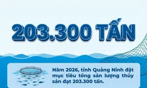 203.300 tấn - là mục tiêu tổng sản lượng thủy sản mà tỉnh đặt ra cho năm 2026