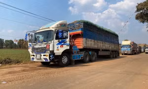 Thủ tướng chỉ đạo tháo gỡ vướng mắc trong triển khai Nghị định 46/2026/NĐ-CP về an toàn thực phẩm