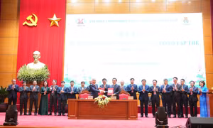 Hội nghị người lao động Tập đoàn Công nghiệp Than - Khoáng sản Việt Nam năm 2026