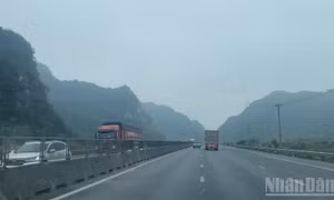 Thời tiết ngày 5/2: Miền bắc sáng và đêm trời rét, nhiều nơi sáng có sương mù