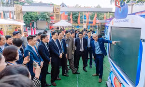 Nâng cao hiệu lực quản trị và năng lực cạnh tranh