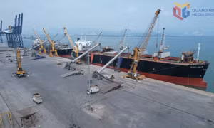 Hoạt động cảng biển nhộn nhịp đầu năm