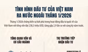 Tình hình đầu tư của Việt Nam ra nước ngoài tháng 1/2026