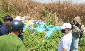 TP.HCM yêu cầu các bệnh viện rà soát khẩn sau vụ dầu gió con ó giả