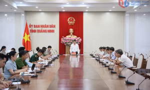 Ban Chỉ đạo Thi hành án dân sự tỉnh sơ kết hoạt động 6 tháng đầu năm 2025