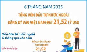Tổng vốn đầu tư nước ngoài đăng ký vào Việt Nam đạt 21,52 tỷ USD trong 6 tháng