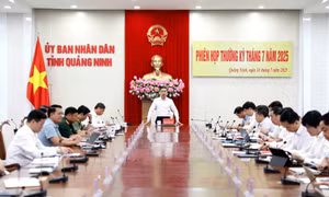 UBND tỉnh họp thường kỳ tháng 7