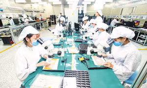 Kinh tế tiếp tục đà tăng trưởng