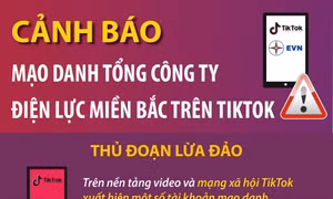 Cảnh báo mạo danh Tổng công ty Điện lực miền Bắc trên Tiktok