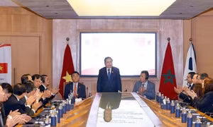 Tăng cường tin cậy, kết nối tất cả các doanh nghiệp Việt Nam và Morocco