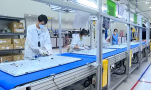 Phường Đông Mai: Quyết tâm tạo đột phá từ sức mạnh của ý Đảng, lòng dân
