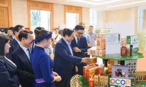 Hành trình "5 sao" của miến dong Bình Liêu