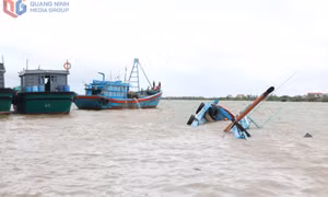 Quảng Yên: Tàu cá đắm trong đêm, 4 thuyền viên thoát nạn