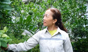 Công khai, minh bạch trong vay vốn chính sách
