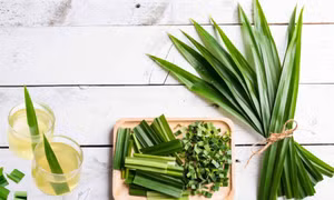 Lợi ích của lá dứa đối với làn da