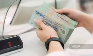 Quy định chặt chẽ sử dụng vốn nhàn rỗi và các khoản đầu tư vào tổ chức tín dụng