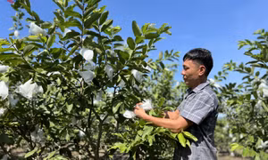 Quảng La phấn đấu đạt xã nông thôn mới kiểu mẫu trước năm 2030