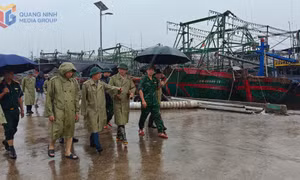 Các đồng chí lãnh đạo tỉnh kiểm tra công tác phòng chống bão tại một số địa phương miền Đông 