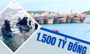 1.500 tỷ đồng - là ước tính tổng vốn đầu tư cho hạ tầng nghề cá toàn tỉnh, tính đến hết quý II/2025