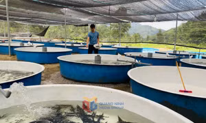 Áp dụng công nghệ bể nổi nuôi cá nước lạnh ở Quảng Tân