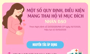 Một số quy định, điều kiện mang thai hộ vì mục đích nhân đạo