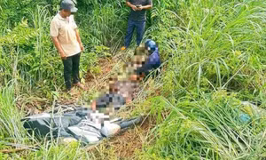 Thanh niên mất tích 4 ngày được tìm thấy trong bụi cây, bị xe máy đè lên chân
