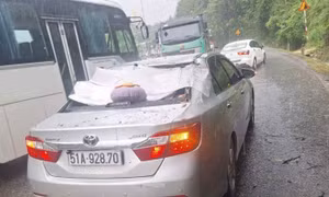 Cây rừng cao gần 10m ở đèo Bảo Lộc bất ngờ ngã đổ, đè trúng xe ôtô đang lưu thông