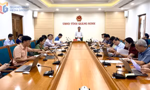 UBND tỉnh rà soát nội dung trình kỳ họp chuyên đề HĐND tỉnh