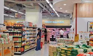 Khai thác tiềm năng các động lực mới hướng tới tăng trưởng trên 8%