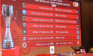 VFF đồng ý đổi tên 3 CLB bóng đá của TP.HCM