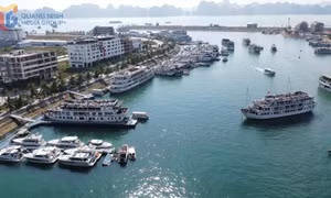 Xây dựng phường Tuần Châu trở thành khu đô thị du lịch kiểu mẫu, văn minh, hiện đại