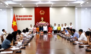 Đoàn công tác Cục Thống kê làm việc với tỉnh Quảng Ninh
