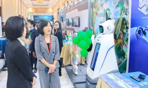 Đưa thương mại điện tử xuyên biên giới thành đòn bẩy cho xuất khẩu bền vững