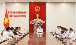 UBND tỉnh nghe ý tưởng đầu tư tổ hợp kinh tế tuần hoàn năng lượng xanh GH2